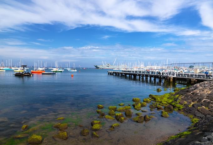 williamstown beach melbourne