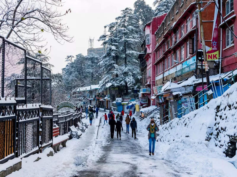 Shimla Manali From Chandigarh | FREE Snowboarding Adventure Image