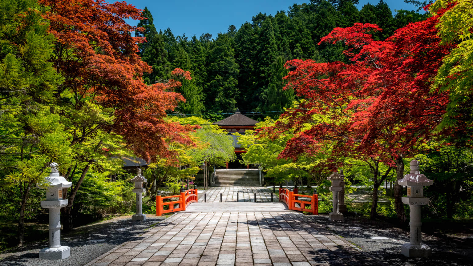 <em>Osaka</em> Tour Packages From Visakhapatnam