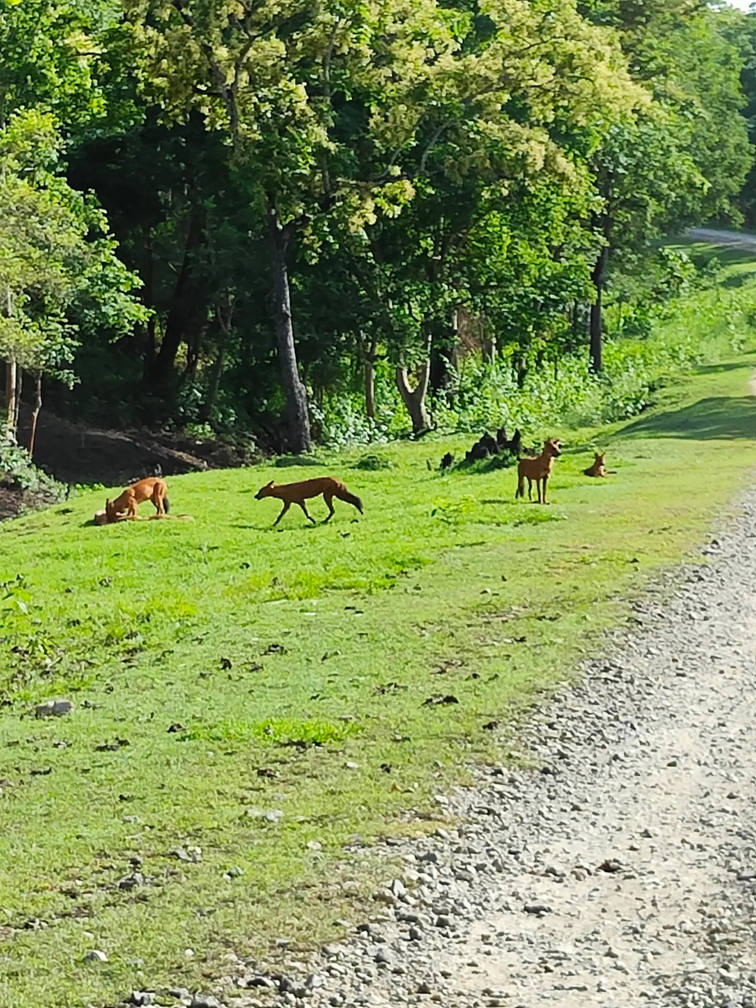 Photo from Priyam Mittal's trip