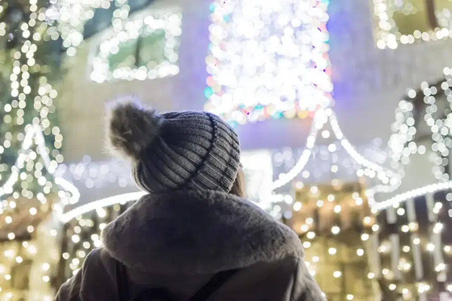 Dyker Heights Holiday Lights Bus Tour Image