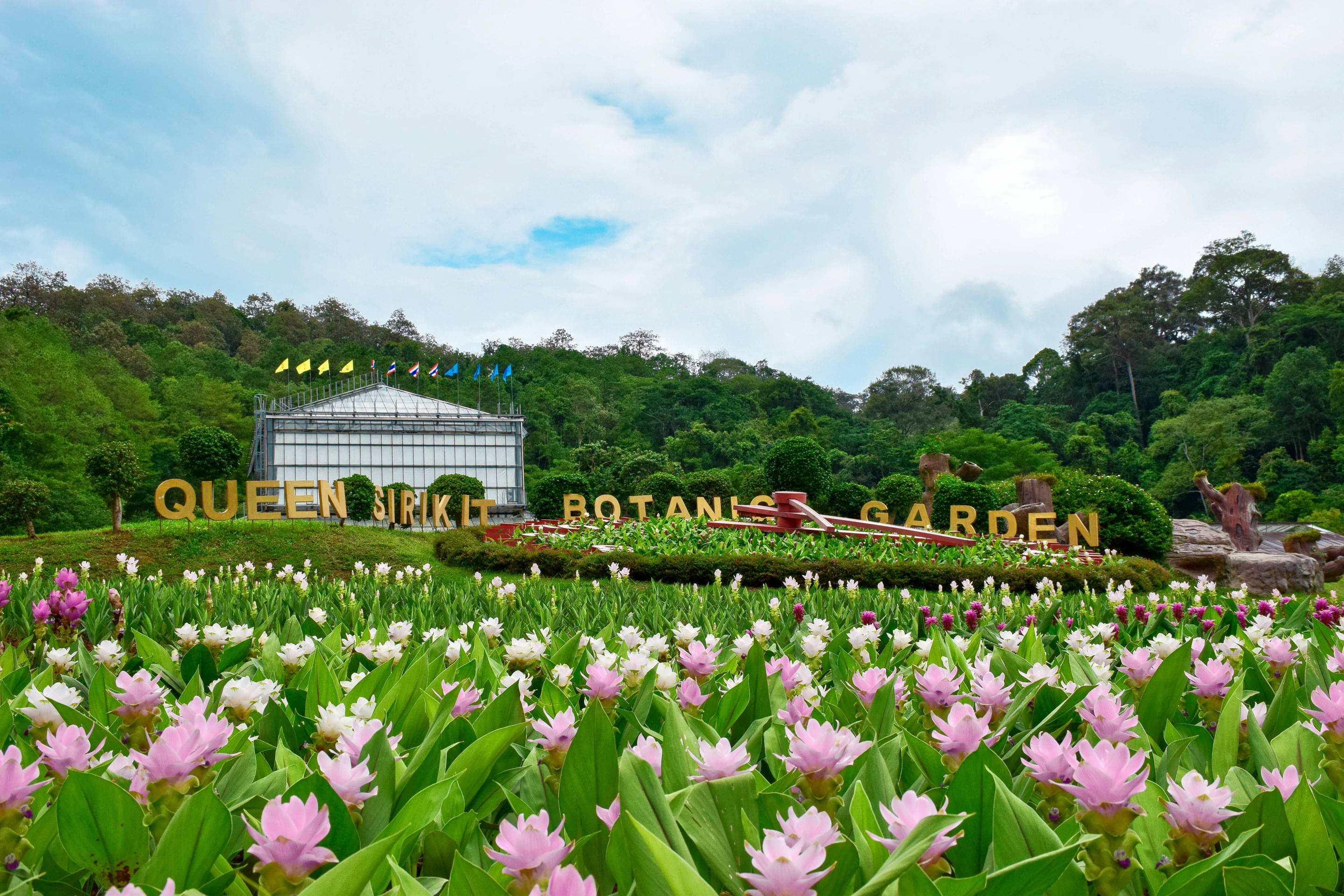 Queen Sirikit Botanic Garden Overview