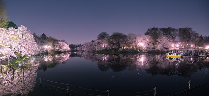 Inokashira Park