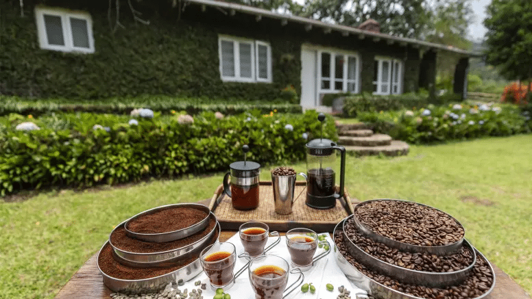 A Countryside Stay Amidst Coffee Plantations In Kodaikanal Image