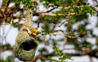 Fpej3gt93pgnlldt9tr7zw3xzk2c capture