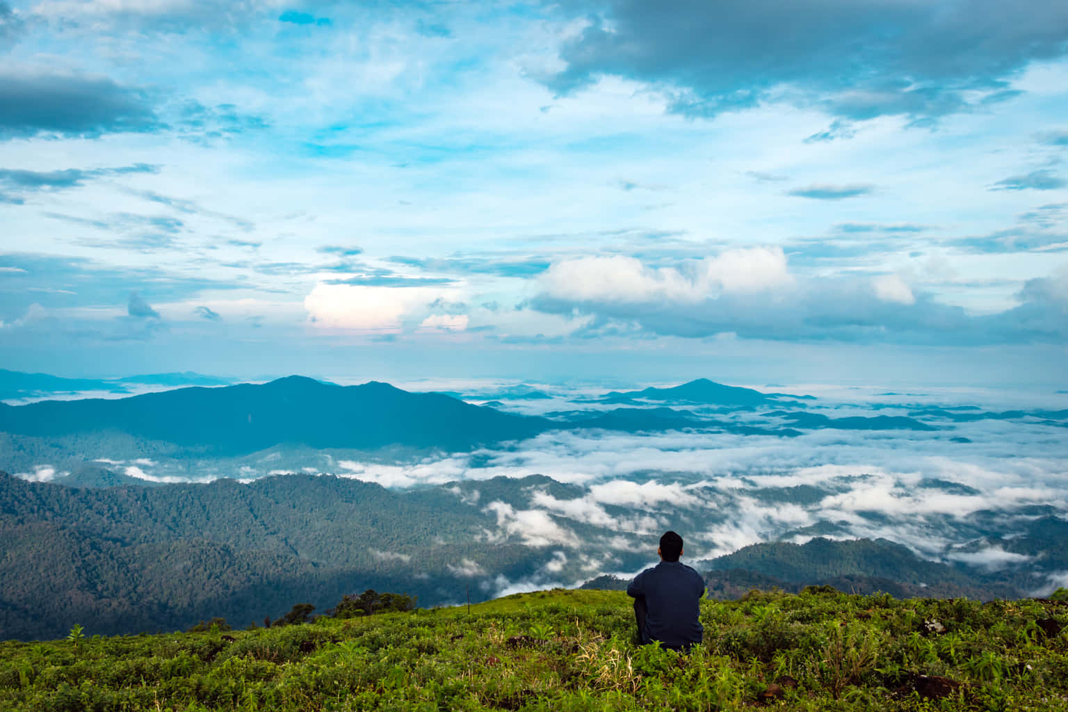 Best of Coorg & Wayanad | Misty Meadows and Scenic Trails