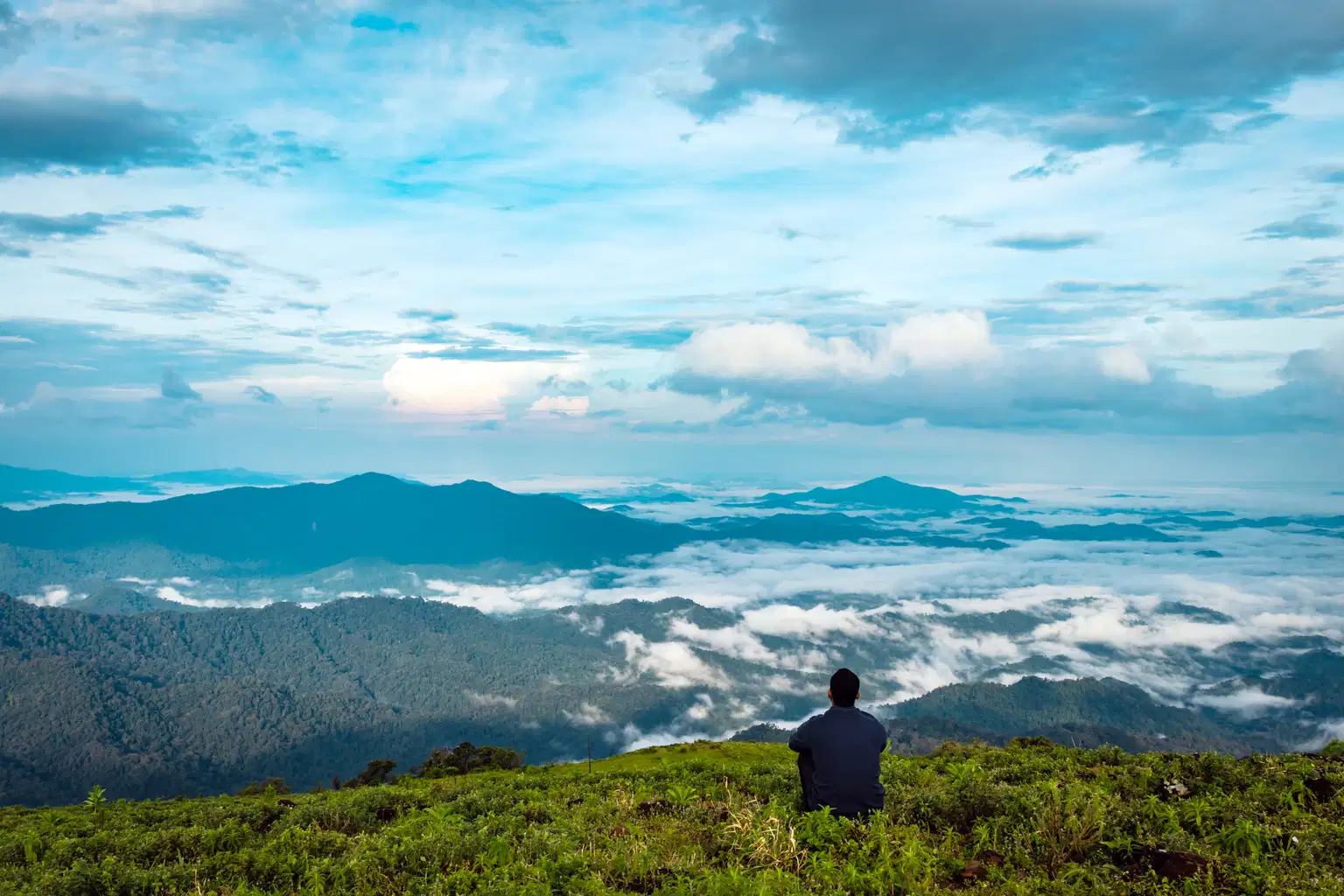 Best of Coorg & Wayanad | Misty Meadows and Scenic Trails