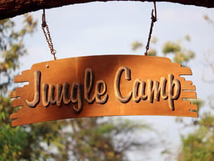 Welcome to the Jungle Camp