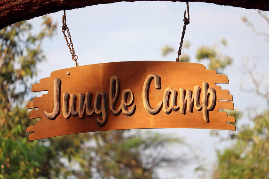 Nallamalai Jungle Camp Image