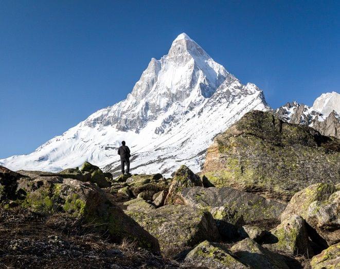 gaumukh tapovan trek