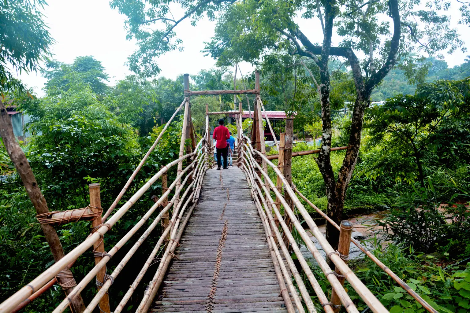 <em>Meghalaya</em> Tour Packages From Rajkot