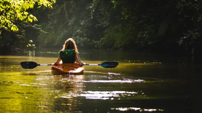 Go on Mangrove Kayaking Tour