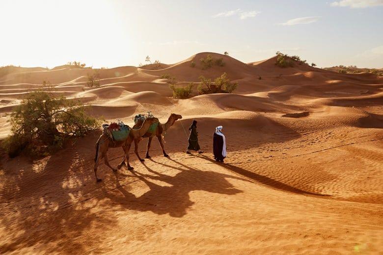 Doha Desert Safari