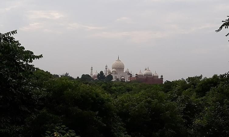 Taj Nature Walk Overview