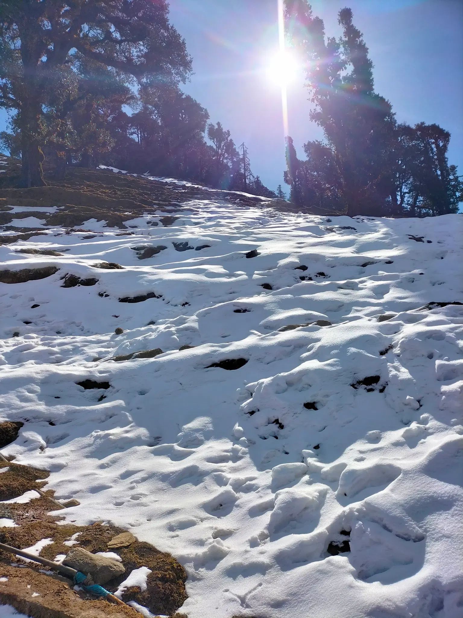 Photo from vishakha soni's trip
