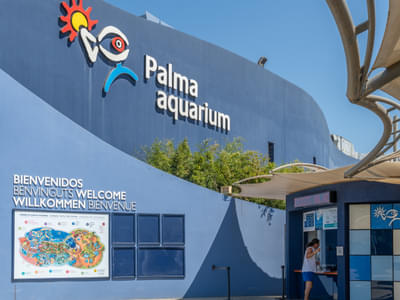Visit Palma Aquarium and have a fun time with your loved ones