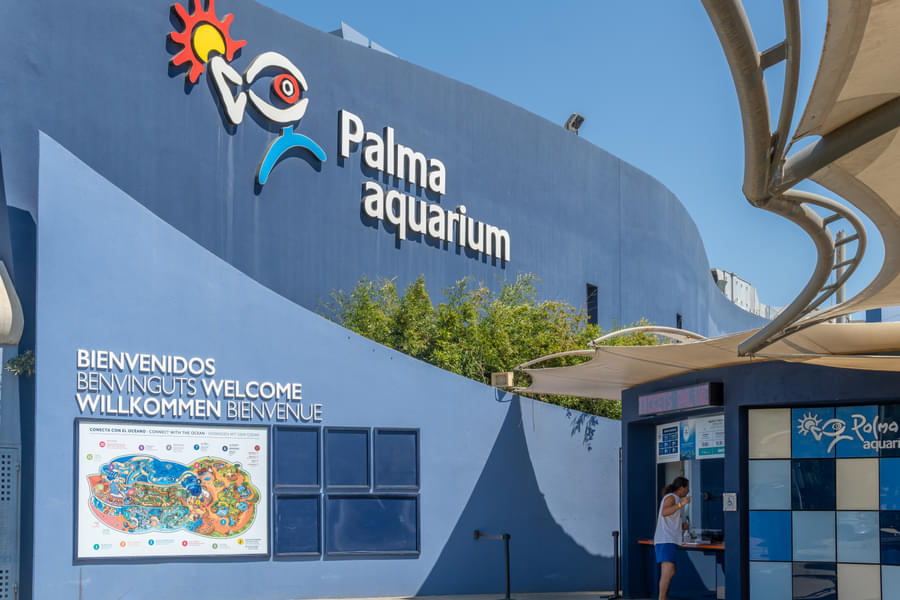 Visit Palma Aquarium and have a fun time with your loved ones