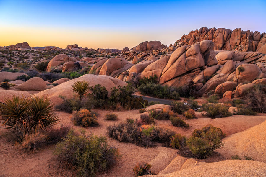 Valley of Fire and California Mojave Desert Tour Image