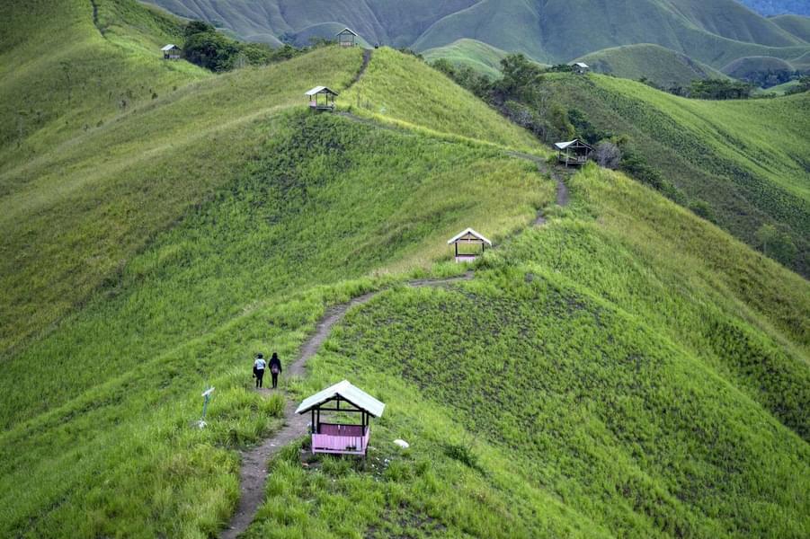 Nusa Penida Island Tour Image