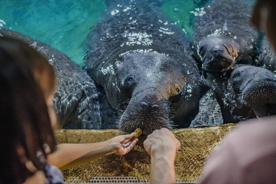 Go behind-the-scenes and get closer to the wildlife!