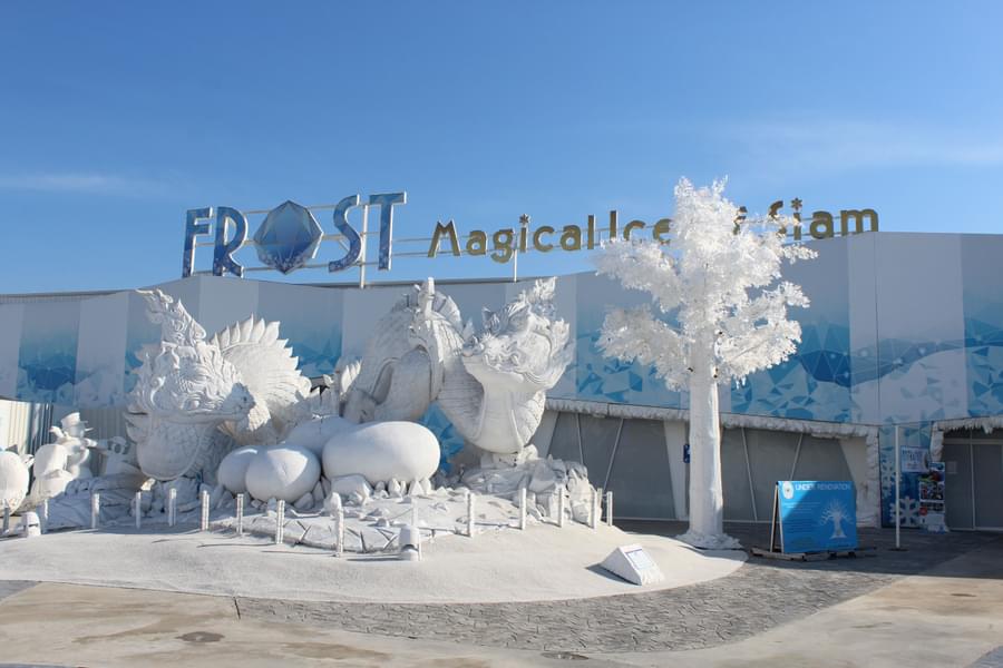 Frost Magical Ice Of Siam