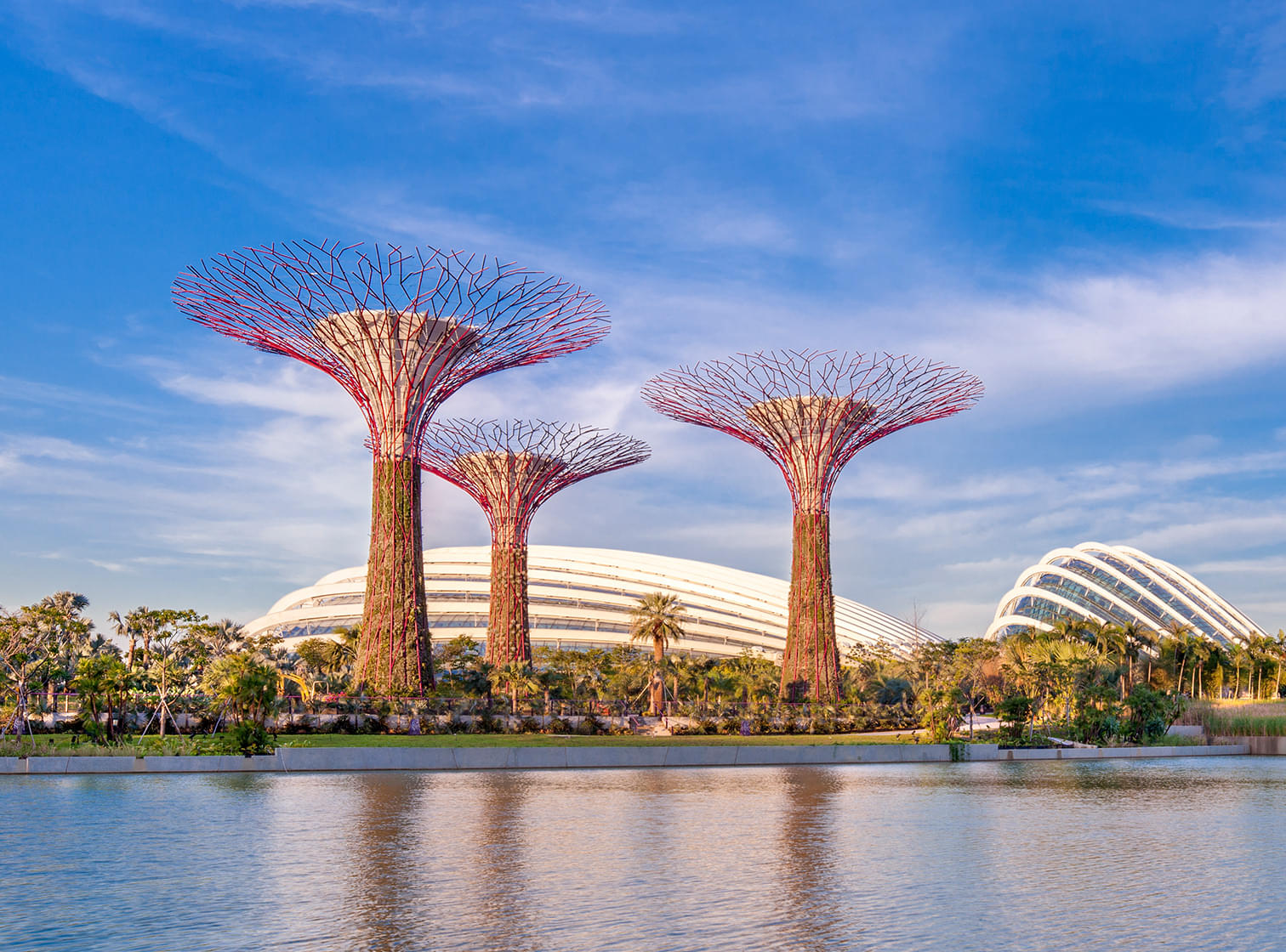 Amazing view of the Gardens By the Bay