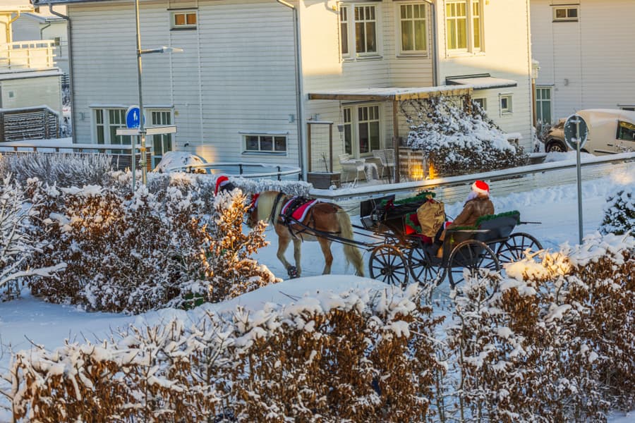Husky Reindeer Farm and Santa Claus Village Experience Image
