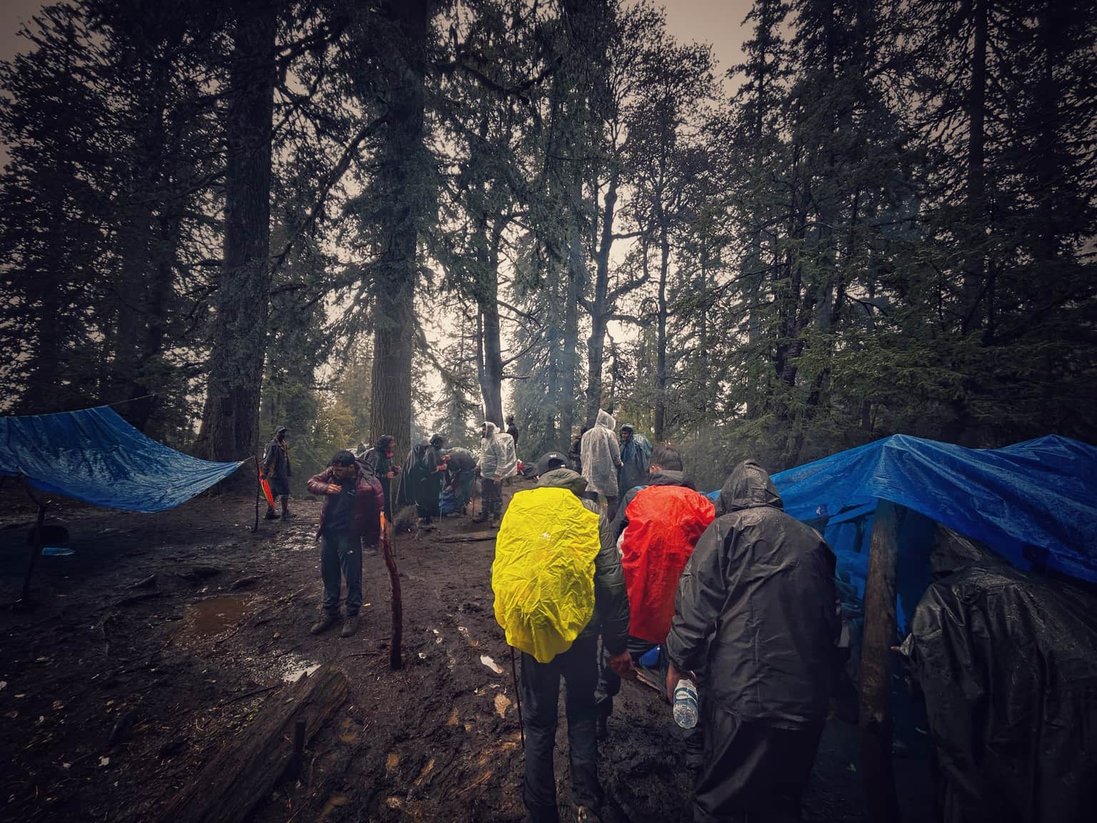 Photo from Susim  Dutta's trip