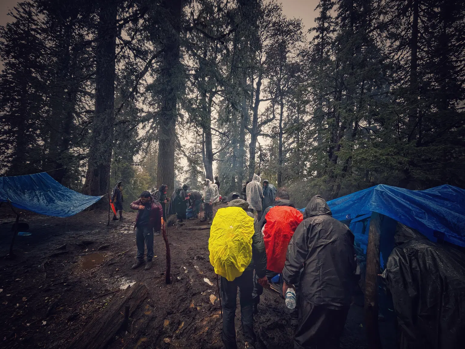Photo from Susim  Dutta's trip