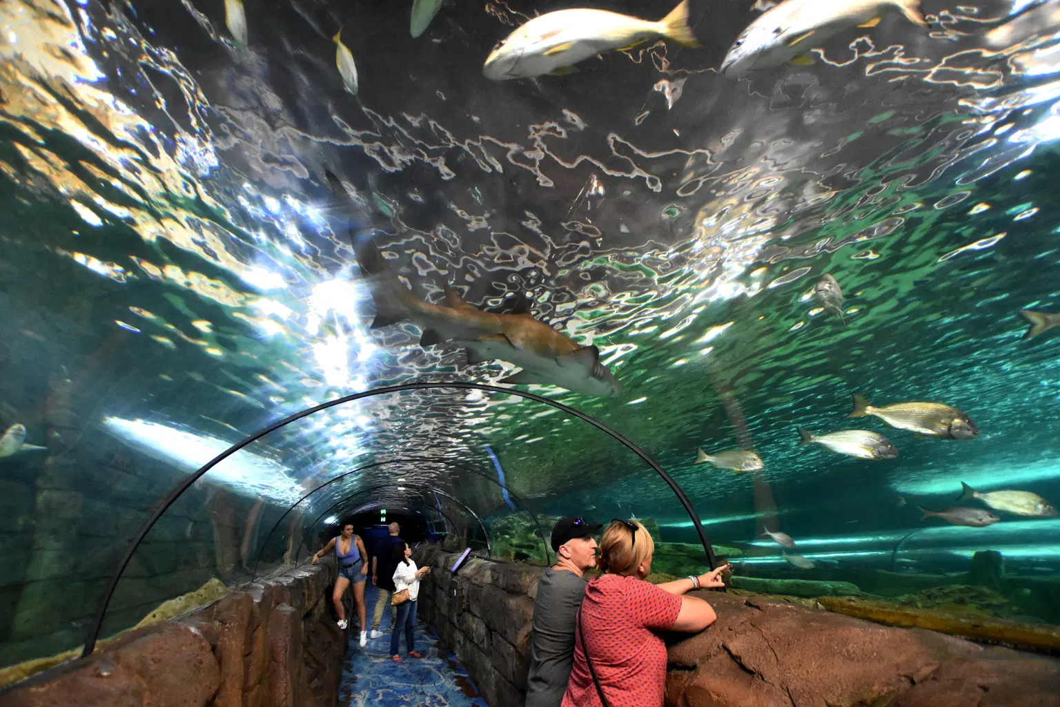Sea Life Aquarium