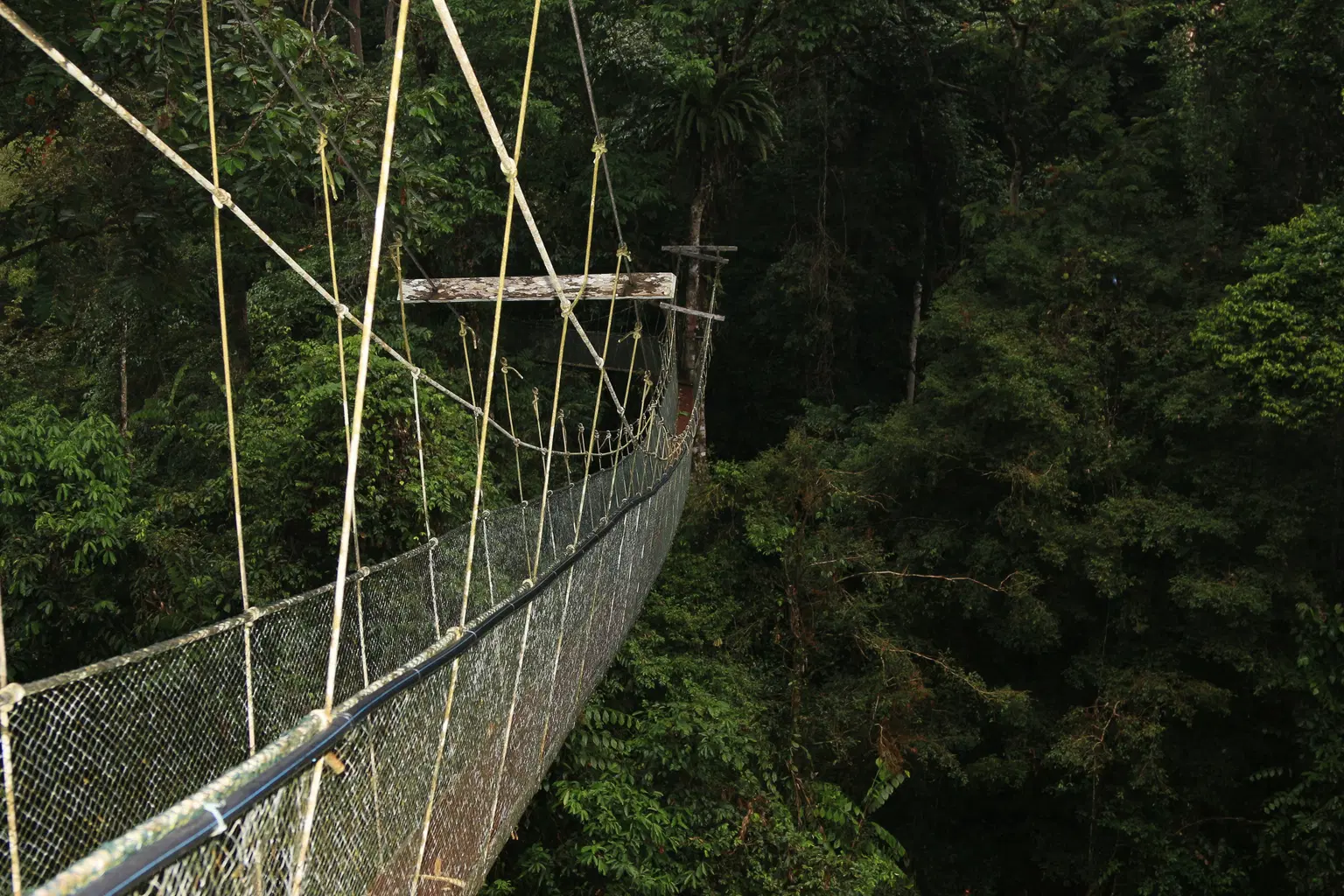 Gunung Mulu National Park