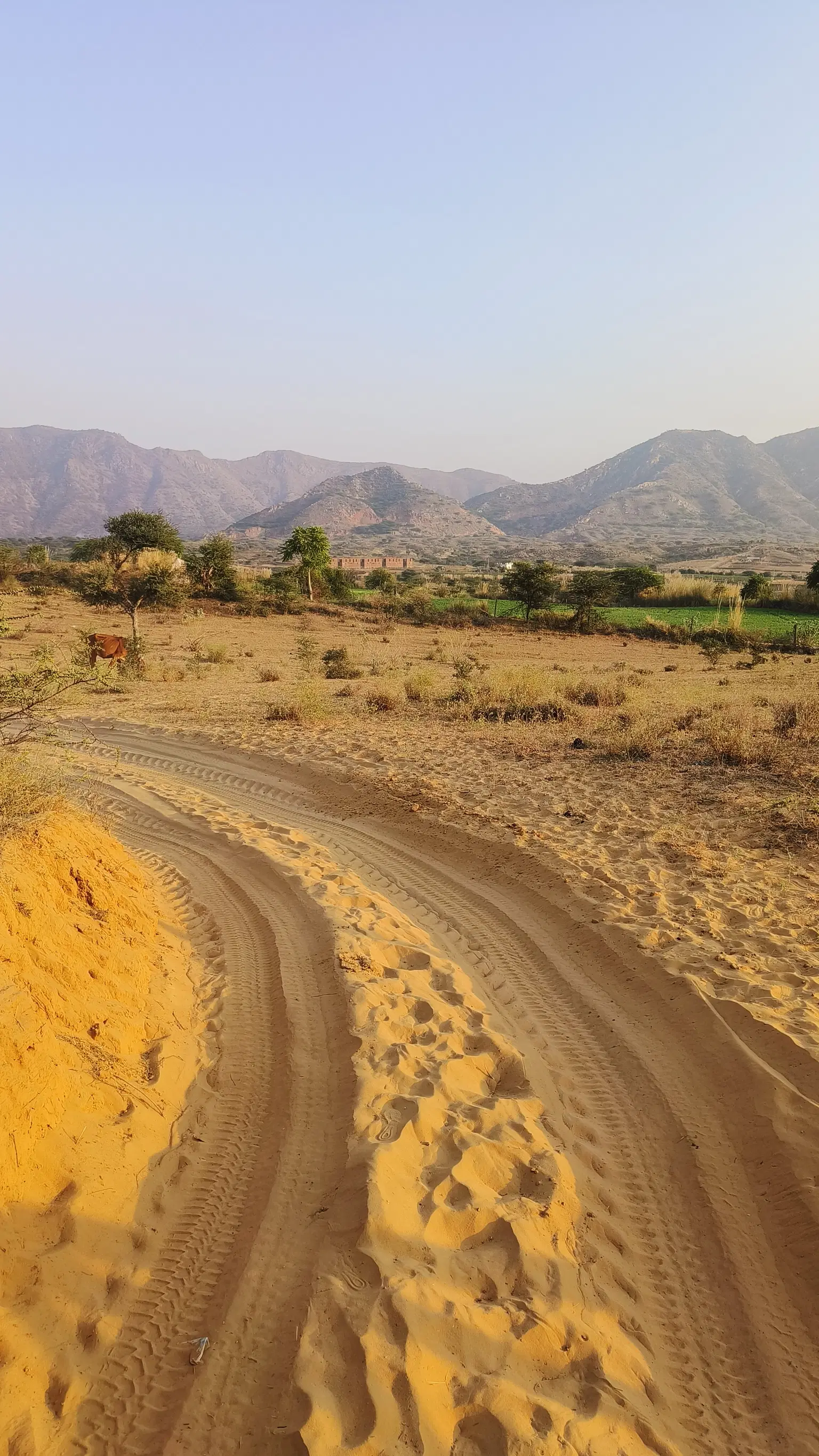 Photo from Rahul Singh's trip