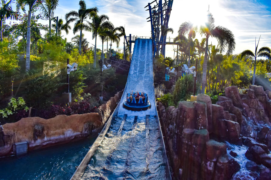 Feel the rush as you brave the twists and turns of Aquatica's exhilarating water rides
