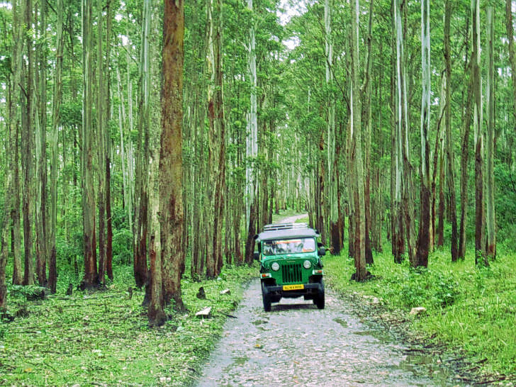 Muthanga Wildlife Safari Image