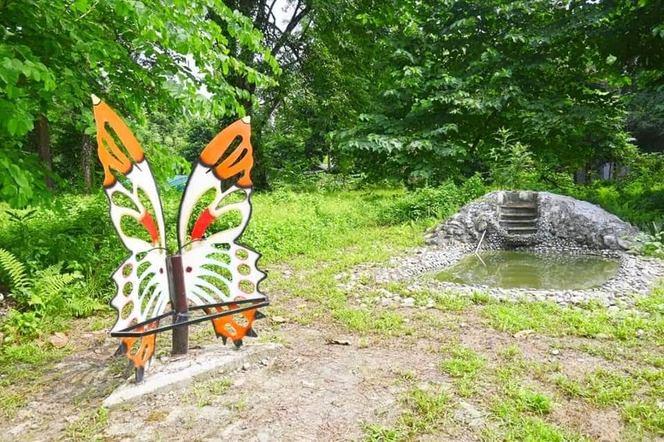 Admire Butterfly Species