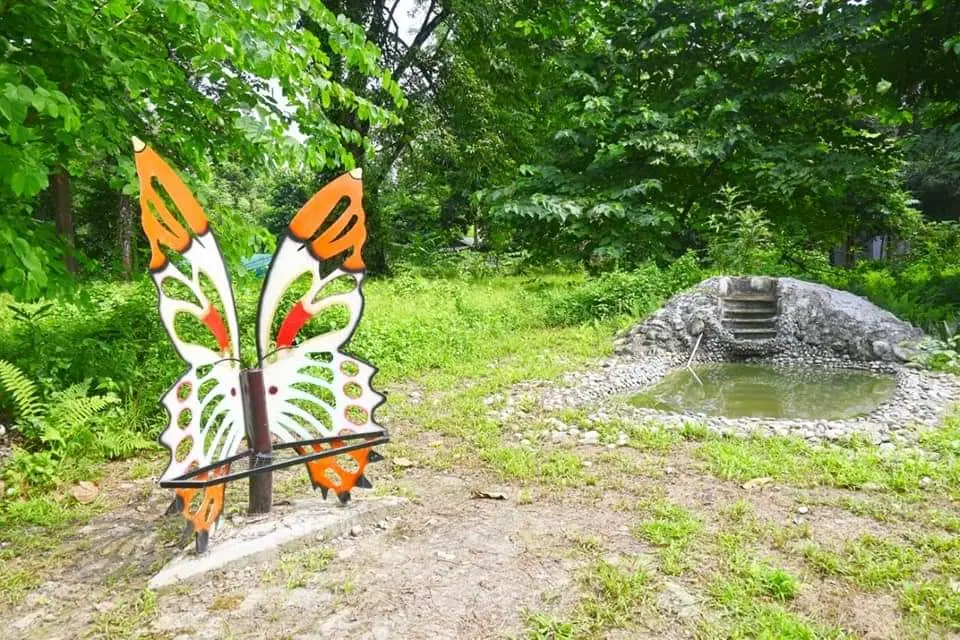Admire Butterfly Species