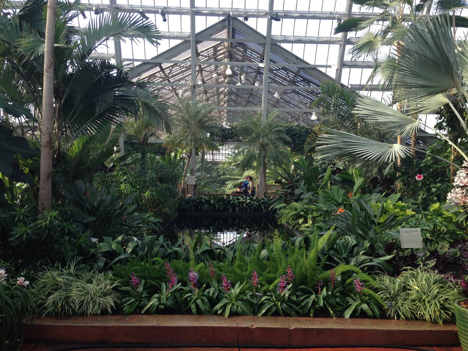 Garfield Park Conservatory, <em>Chicago</em>