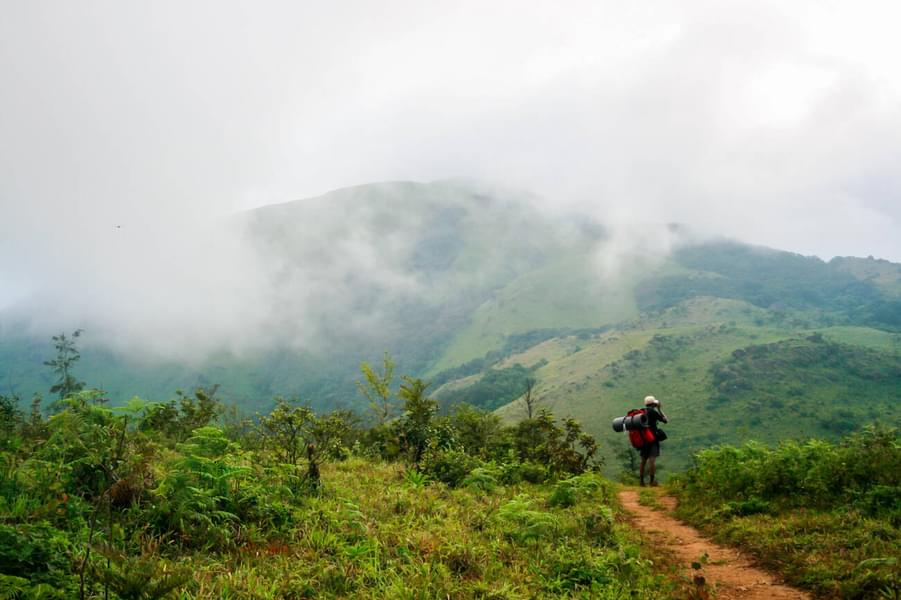 Riverside Camping In Coorg Image