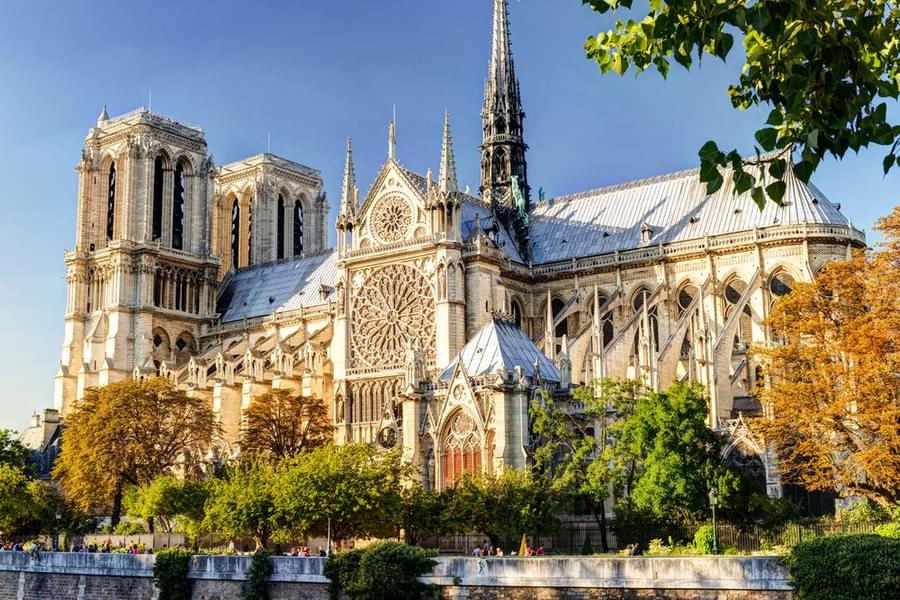 Admire Notre Dame Cathedral
