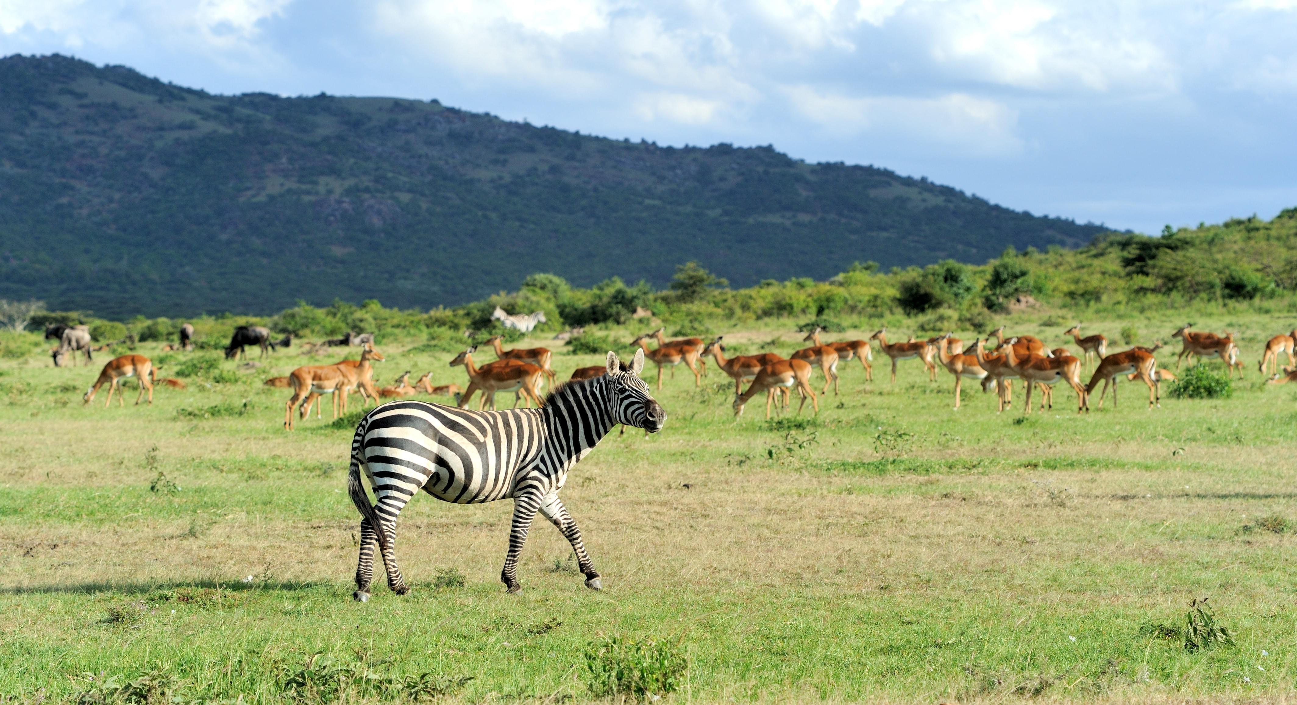 Nairobi Packages from Raipur | Get Upto 50% Off