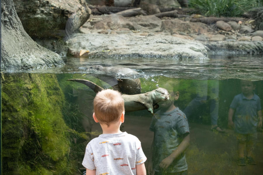 Join your little ones as they have fun at the zoo