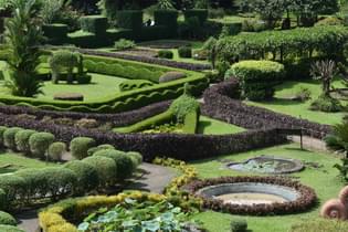 Fvxprknga2e3tp58h9gryijuwjld nilambur teak museum garden