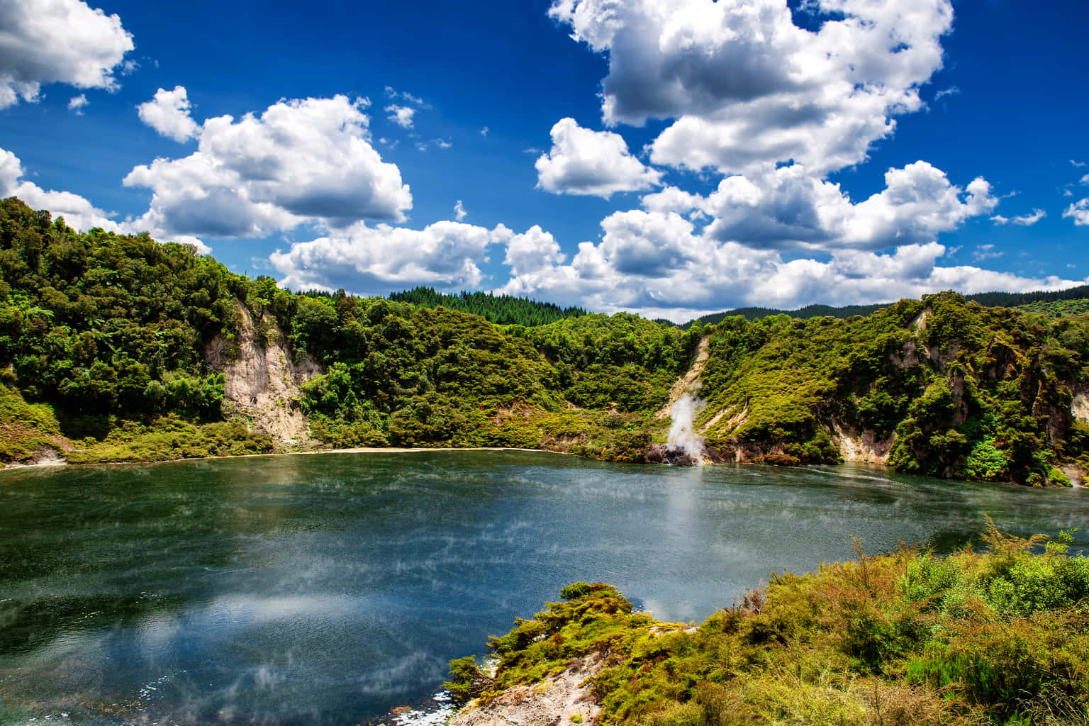 All-in-One New Zealand Tour
