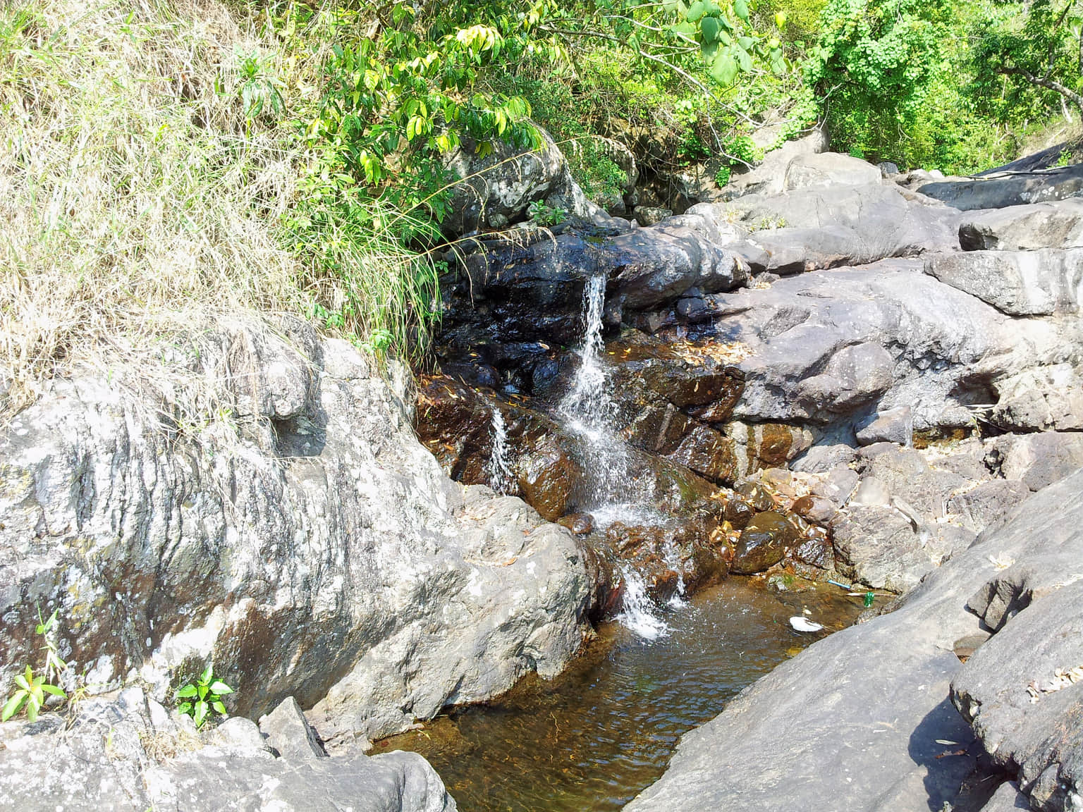 Photo from Chandani Guha's trip