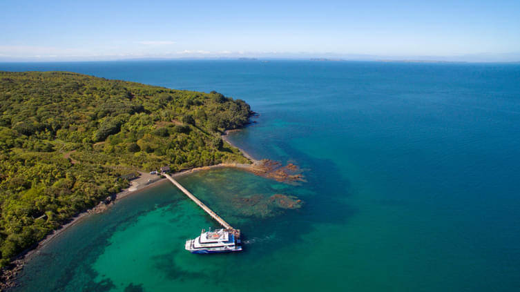 Tiritiri Matangi Island