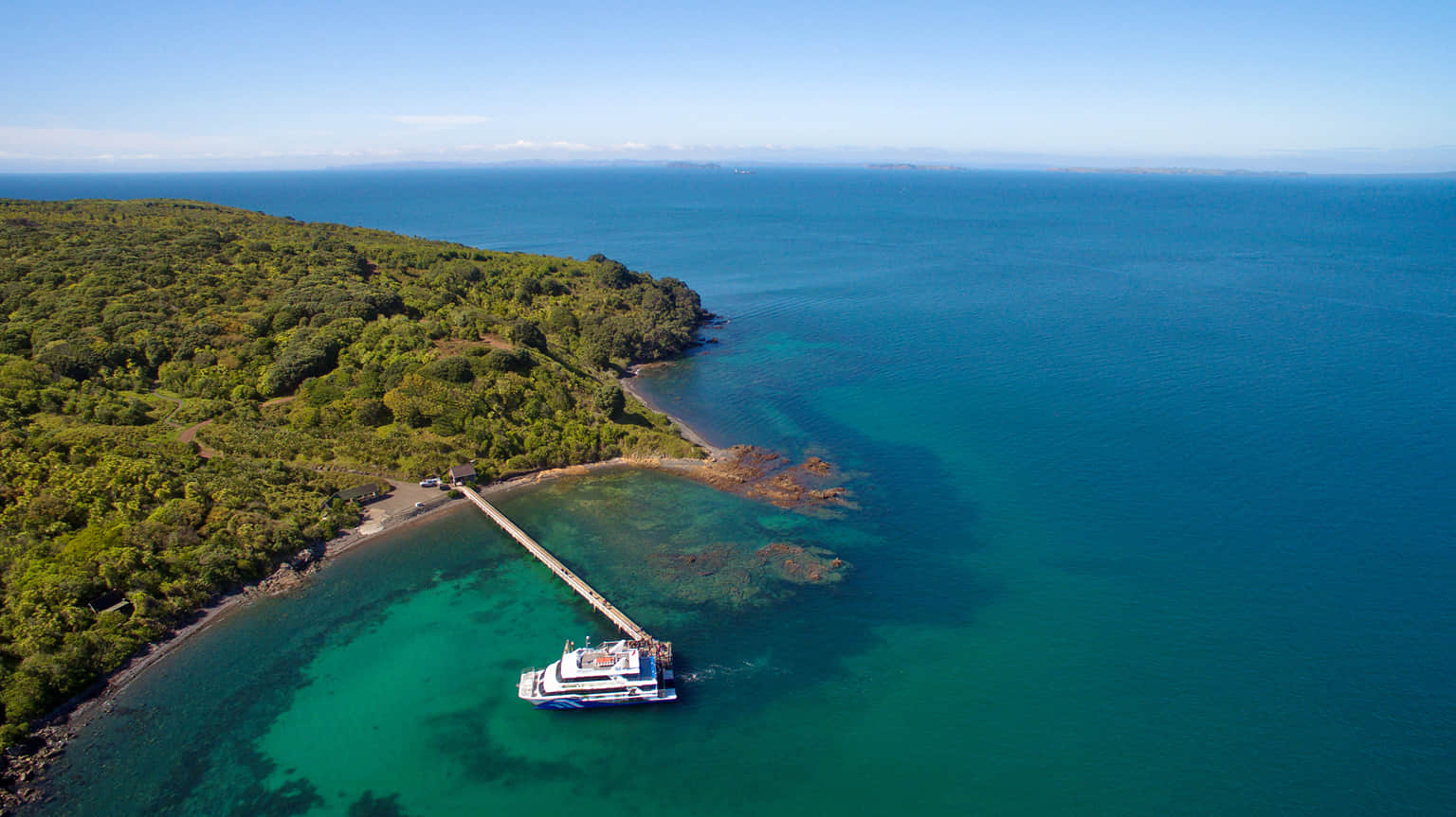 Tiritiri Matangi Island