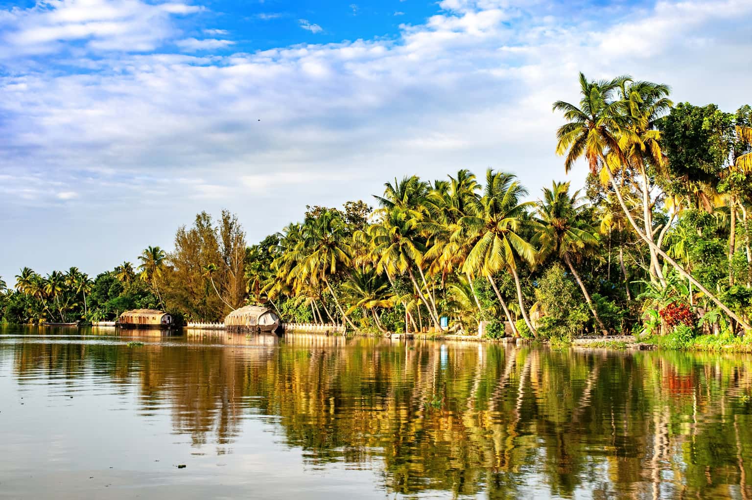 Kerala & Tamil Nadu Wonders | A Tale of Two States