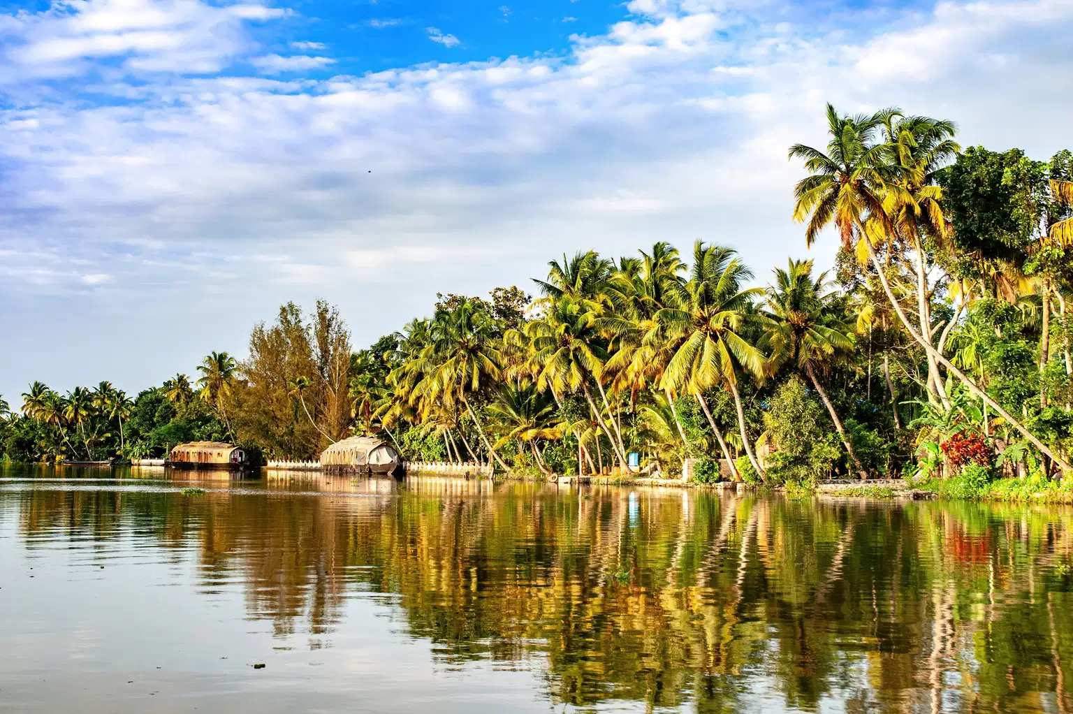 Kerala & Tamil Nadu Wonders | A Tale of Two States