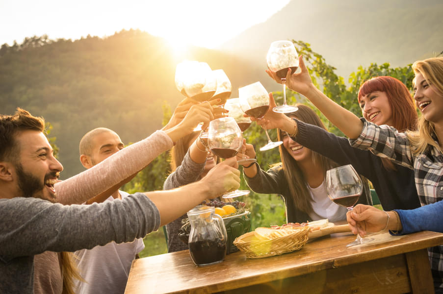 Groot Constantia Wine Estate Tour Image
