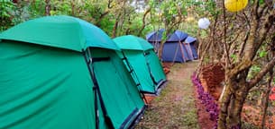 Fwm67fe2abqxo1ffc5x9w7xif3it tents in the forest